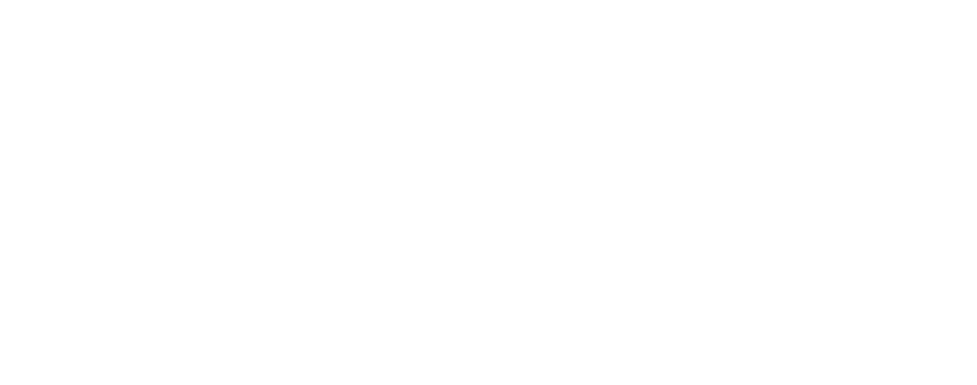 Digital Dynamics